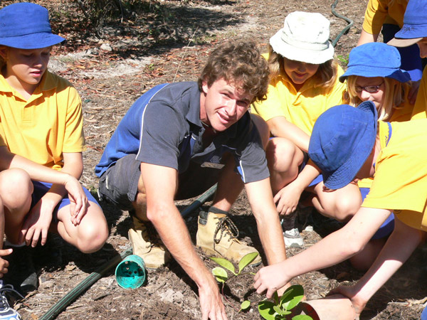 WBW-trees-torquay-ss
